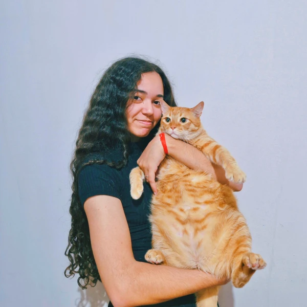 Gato em ambiente claro e tranquilo